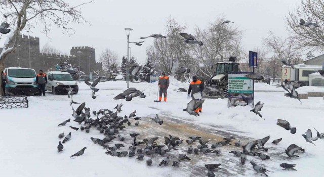 Melikgazi soğuk kış günlerinde sokak hayvanlarını unutmadı