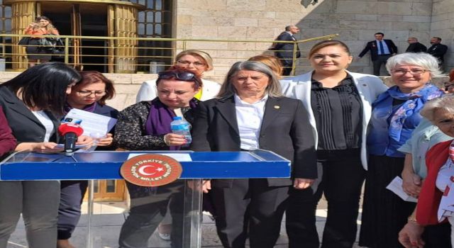 Kadın (EŞİK) Platformu gönüllüsü, 'Kadınlar Meclis'te sloganıyla TBMM'yi ziyaret etti