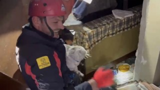 Konya itfaiyesi depremden 11 gün sonra ağır hasarlı binada kalan kediyi kurtardı