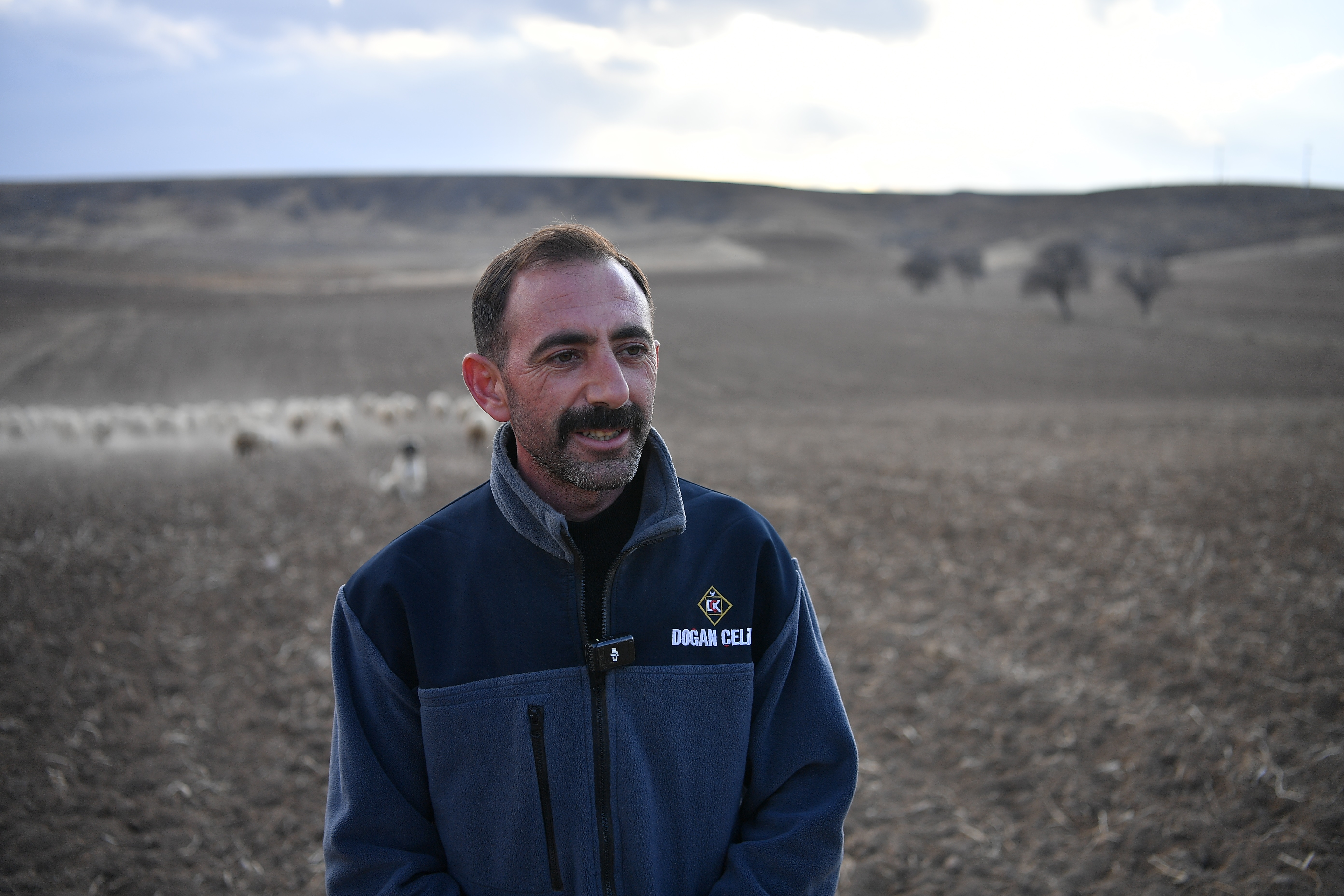 Kayseri Büyükşehir'in 'Koyunlar Artıyor, Meralar Şenleniyor' Projesi, Kırsal Kalkınmaya Katkı Sağlıyor