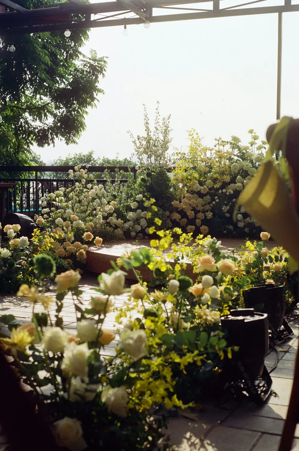 2026 "Talas Çiçek Yılı" İlan Edildi: İlçe Renk ve Kokulara Bürünecek