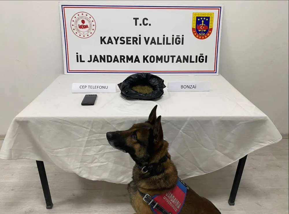 Kayseri’de 1 kişiye uyuşturucu gözaltısı