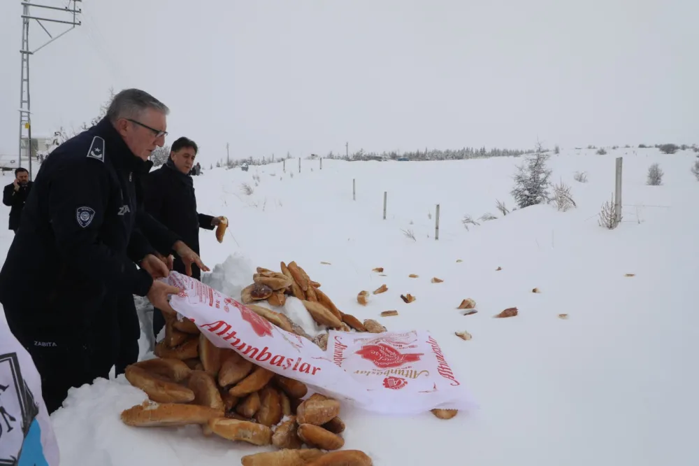Develi’de sokak hayvanları için mama ve ekmek desteği