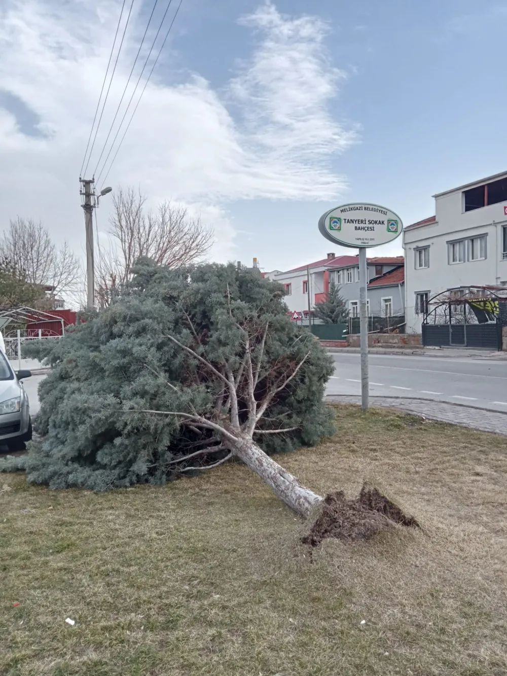 Kayseri’de şiddetli rüzgar ağacı kökünden söktü