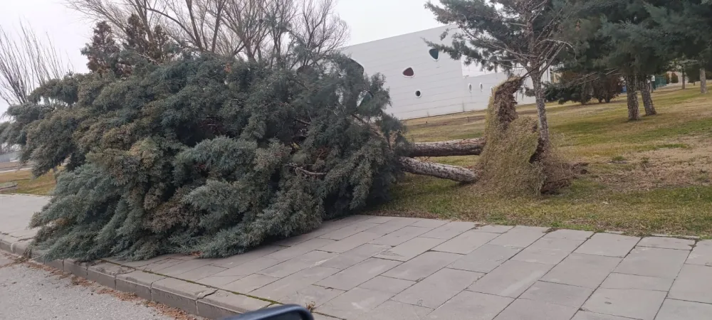Kayseri’de şiddetli rüzgara karşı Büyükşehir ekipleri seferber oldu