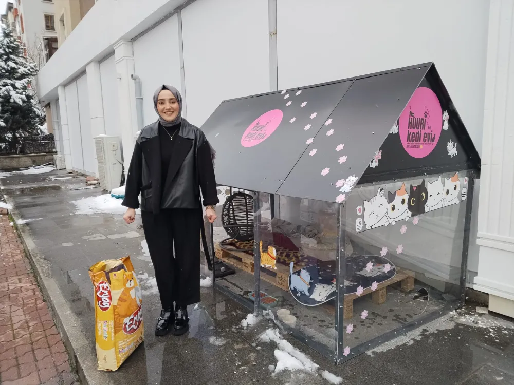 Soğuk kış günlerinde kediler için ısıtmalı yuva yaptılar