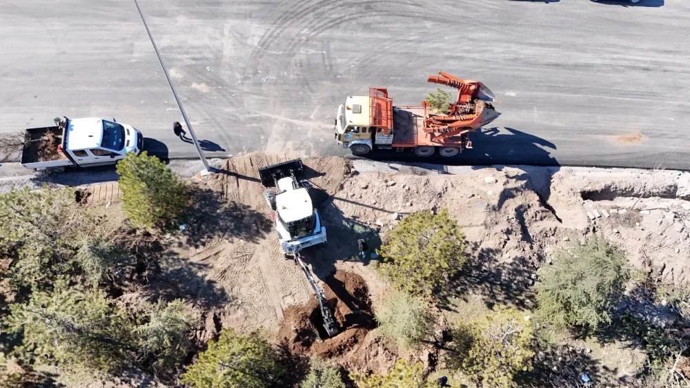 Kartal Kavşağı ve Bağlantı Yolları Projesi başlangıcında ağaçlar koruma altına alınıyor