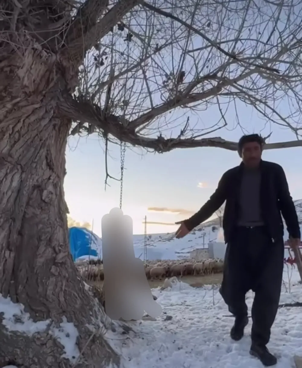 Pınarbaşı'da köpeği ağaca asarak öldüren şüpheli tutuklandı