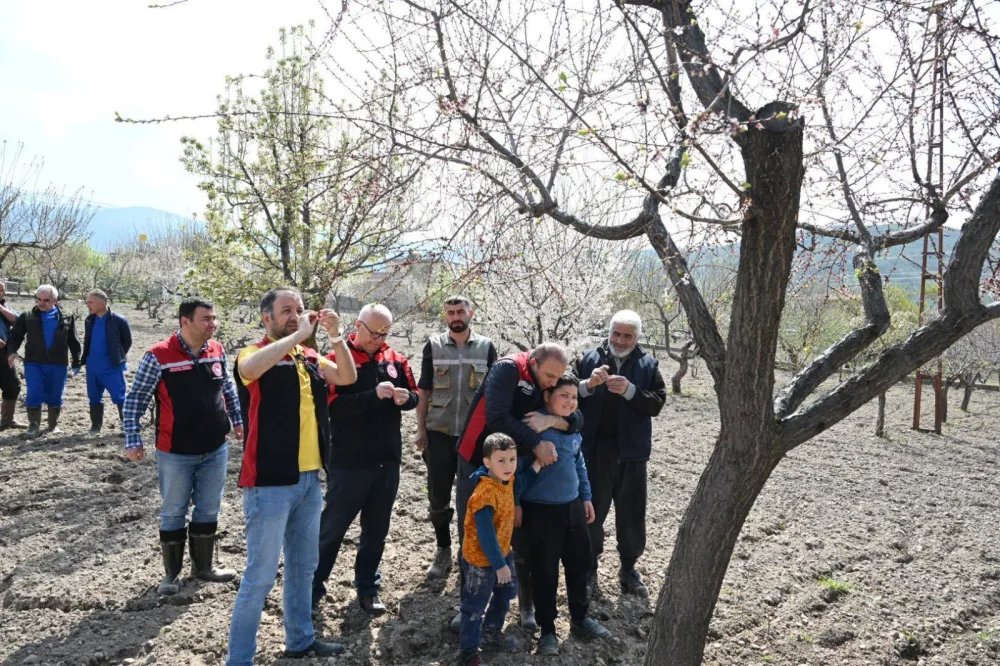 İl Müdürü Saklav’dan Hacılar’daki meyve ağaçlarında inceleme