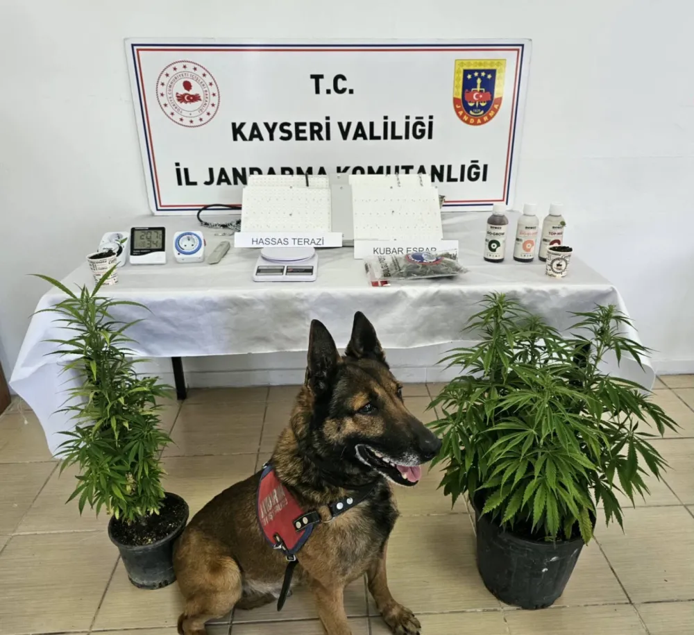 Kayseri’de 1 kişiye uyuşturucu gözaltısı